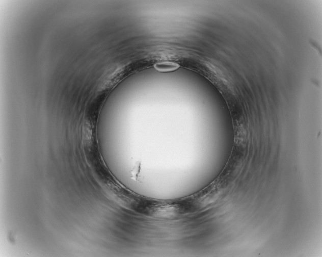 X0000093390456200710251245