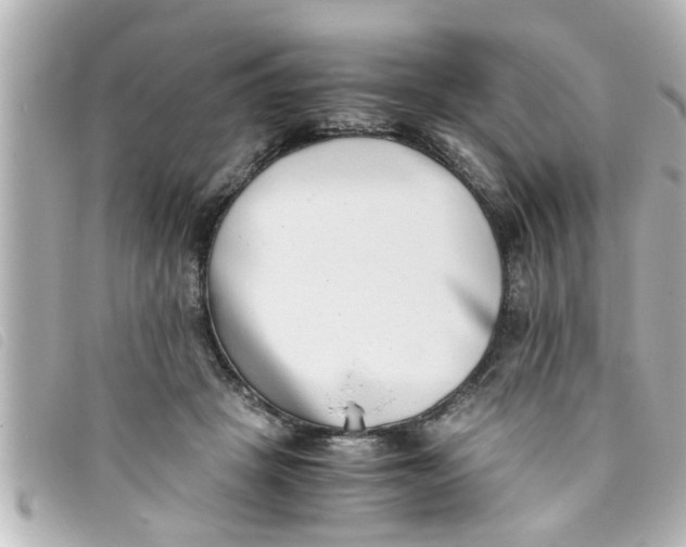 X0000093390457200710251245