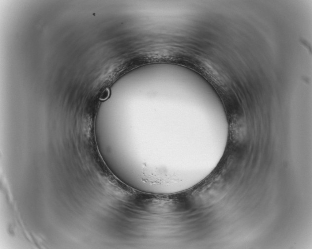 X0000093390458200710251245