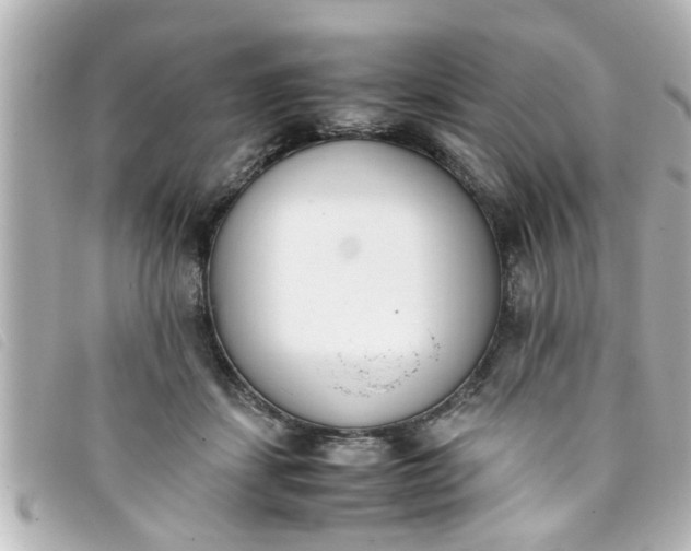 X0000093390459200710251245