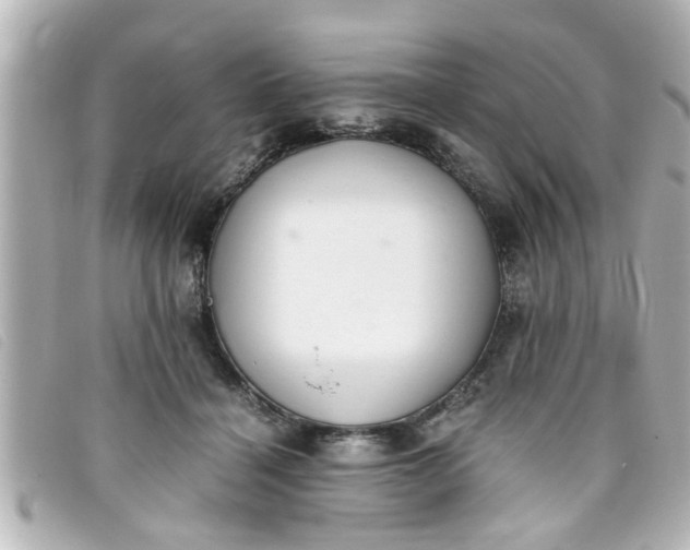 X0000093390460200710251245