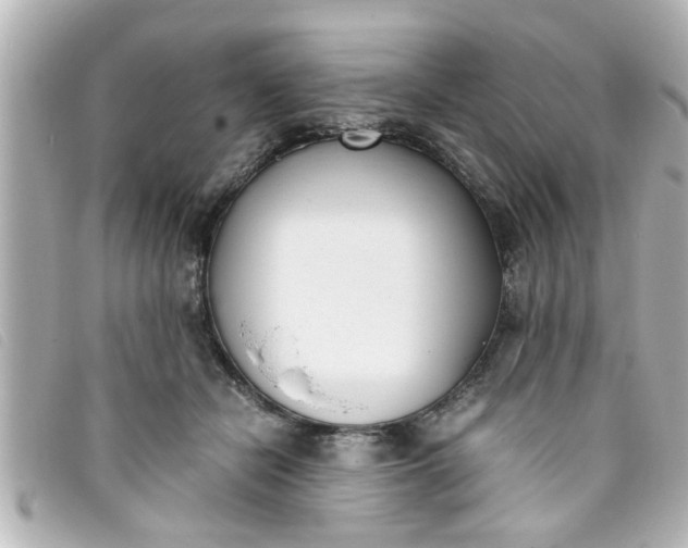 X0000093390462200710251245