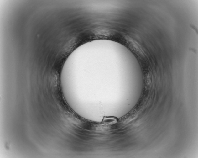 X0000093390463200710251245