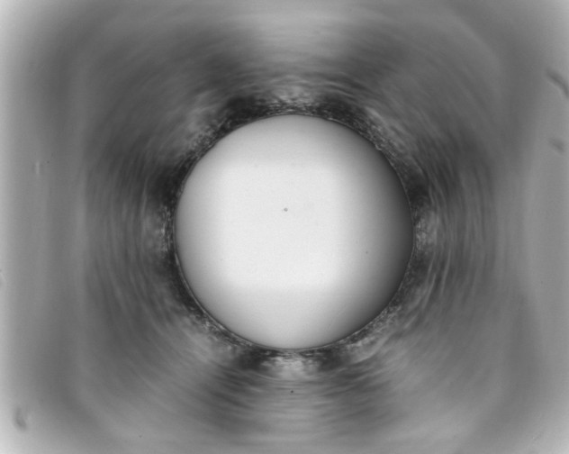 X0000093390464200710251245