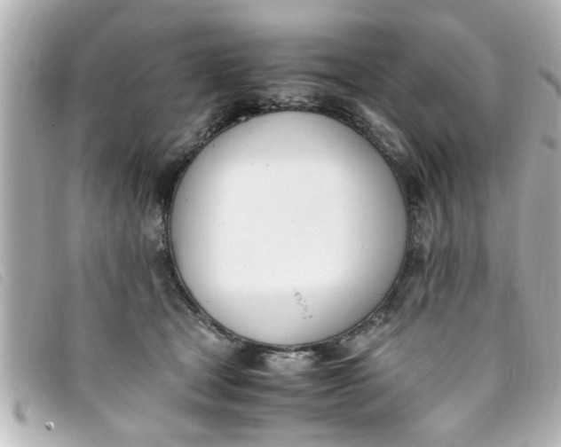 X0000093390465200710251245