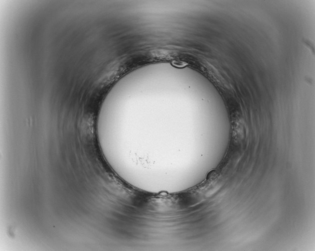 X0000093390466200710251245