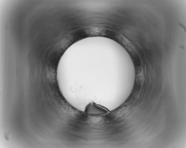 X0000093390469200710251245