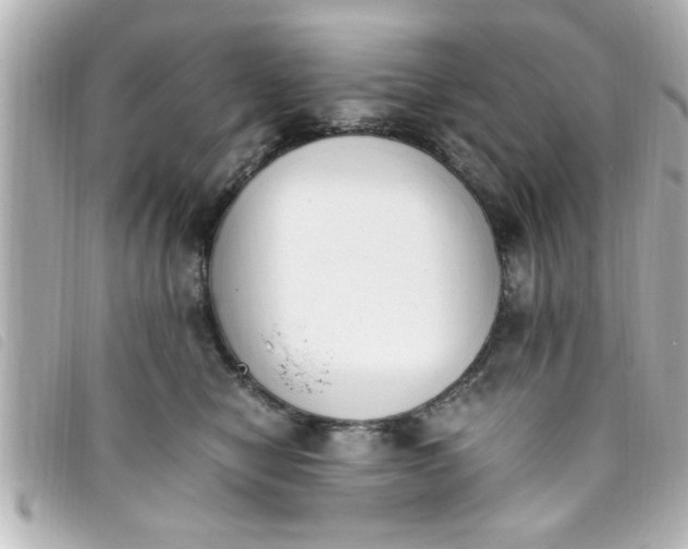 X0000093390470200710251245