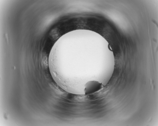 X0000093390479200710251245