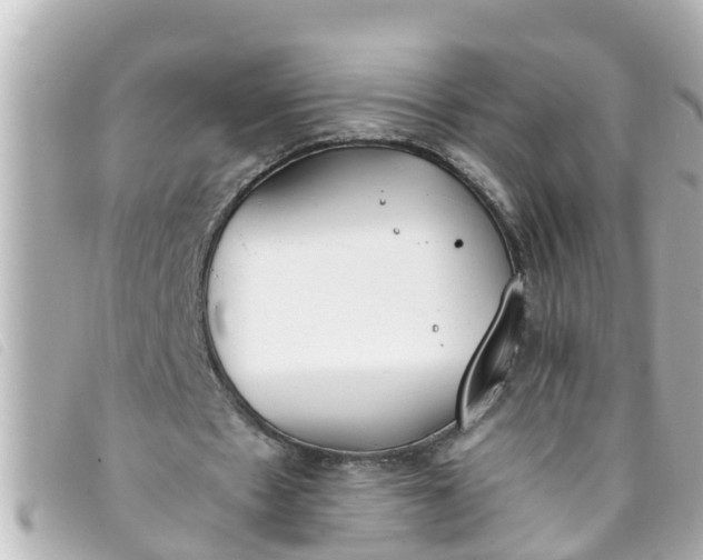 X0000093390481200710251244