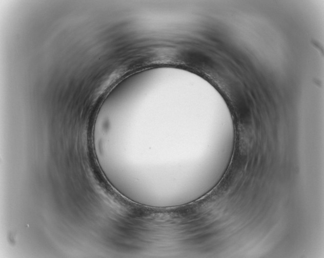 X0000093390482200710251244