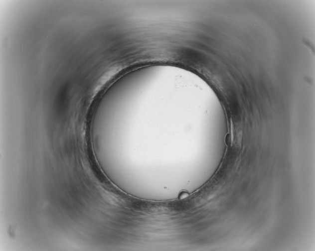 X0000093390483200710251244