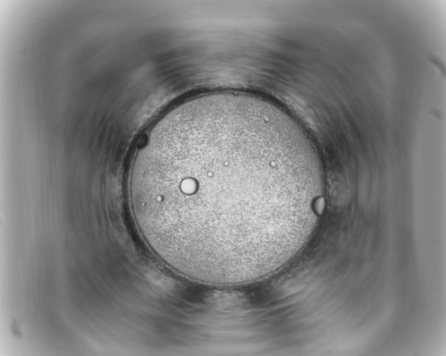 X0000093390487200710251244