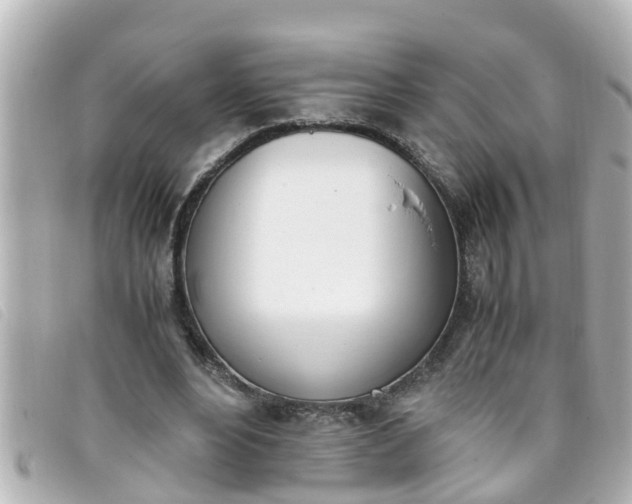 X0000093390488200710251244