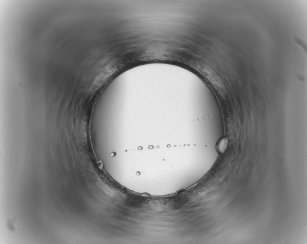 X0000093390489200710251244