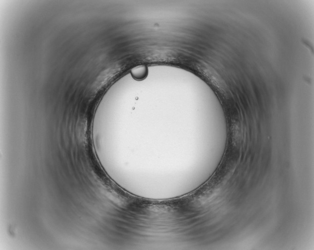 X0000093390490200710251244