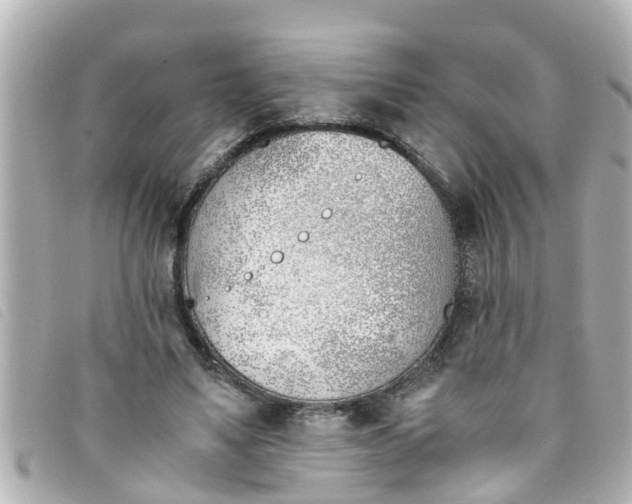 X0000093390491200710251244