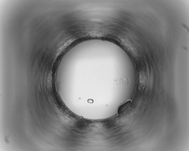 X0000093390492200710251244