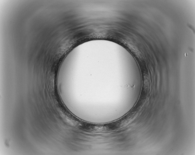 X0000093390493200710251244