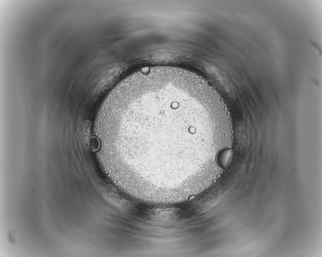 X0000093390495200710251244