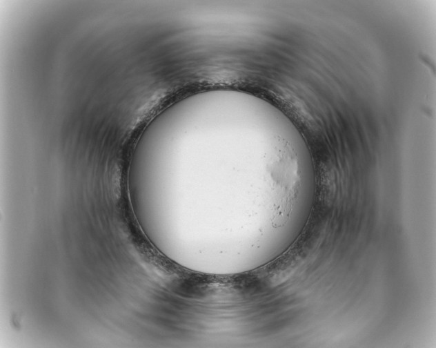 X0000093390496200710251244