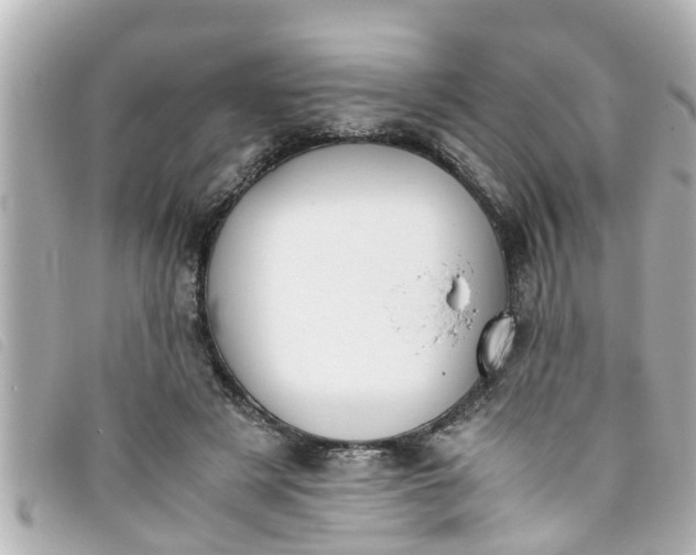 X0000093390497200710251244