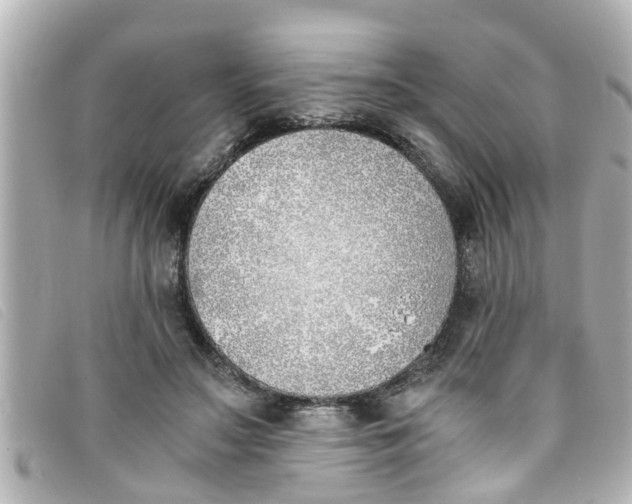 X0000093390499200710251244