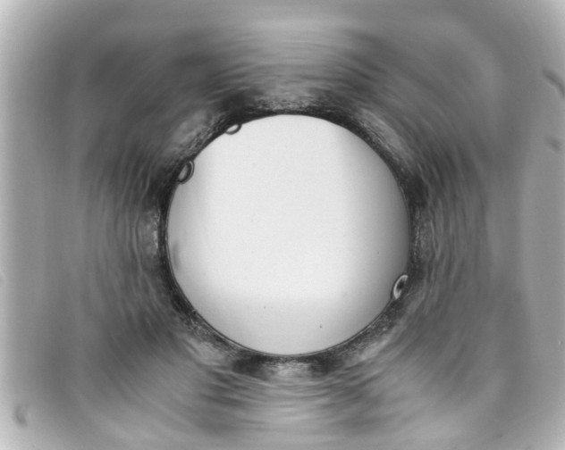 X0000093390501200710251244