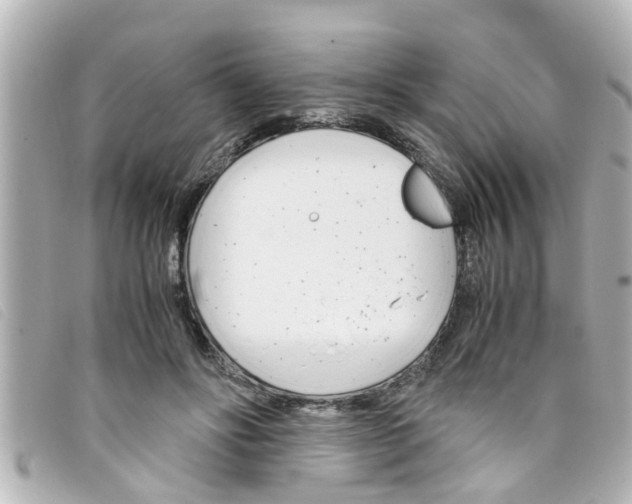 X0000093390502200710251244