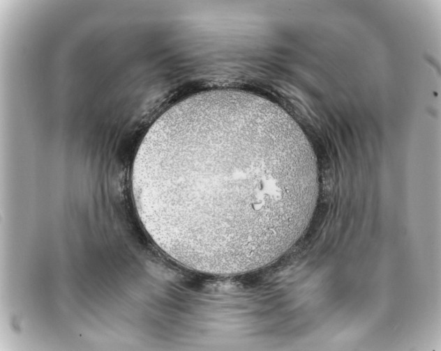 X0000093390503200710251244