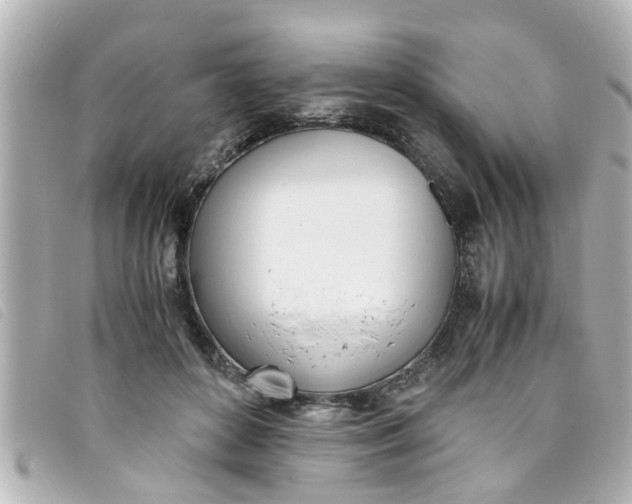 X0000093390504200710251244