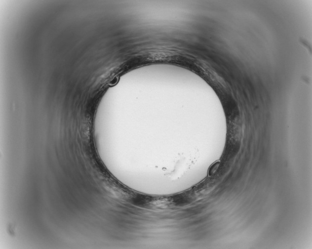 X0000093390505200710251244