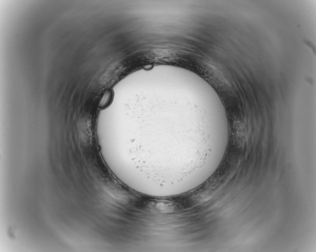 X0000093390506200710251244