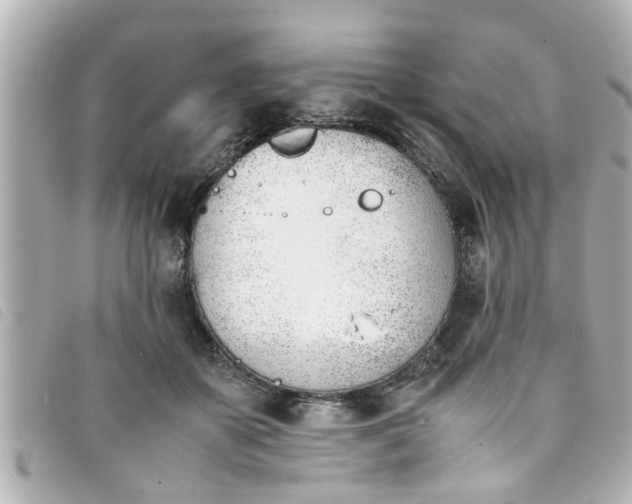 X0000093390507200710251244