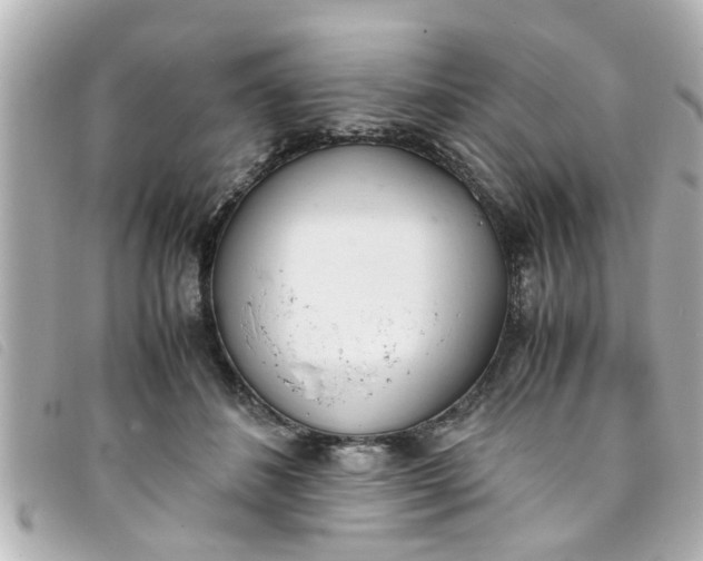 X0000093390508200710251244