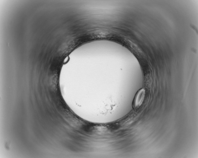 X0000093390509200710251244