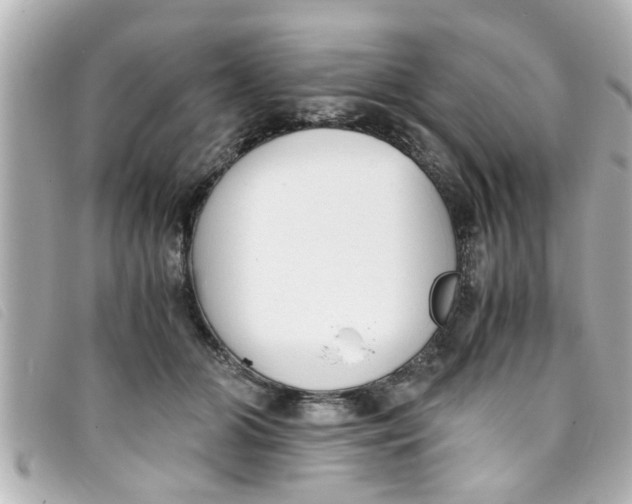 X0000093390510200710251244