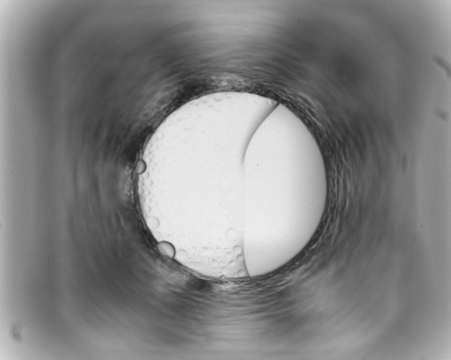 X0000093390511200710251244