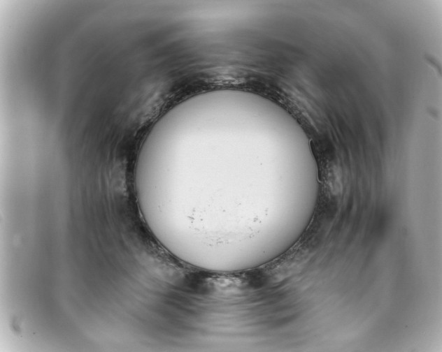 X0000093390512200710251244