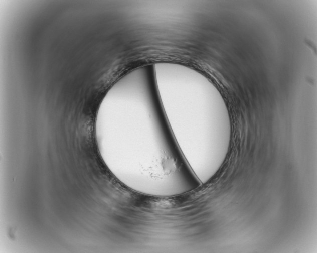 X0000093390513200710251244