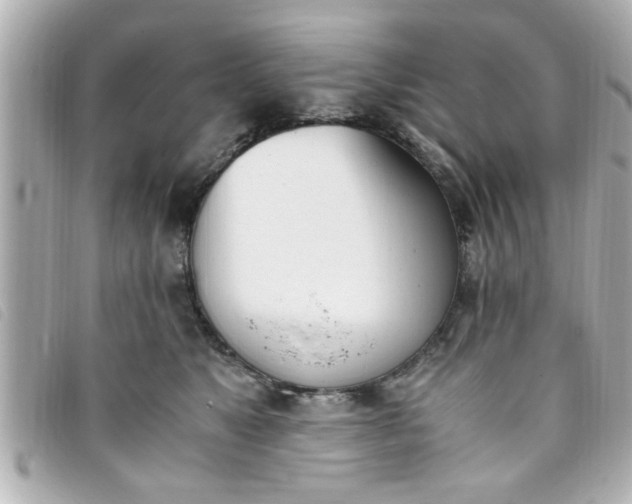 X0000093390517200710251244