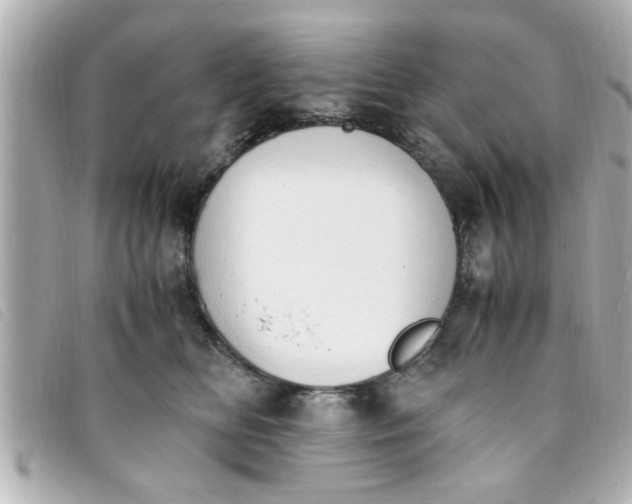 X0000093390518200710251244