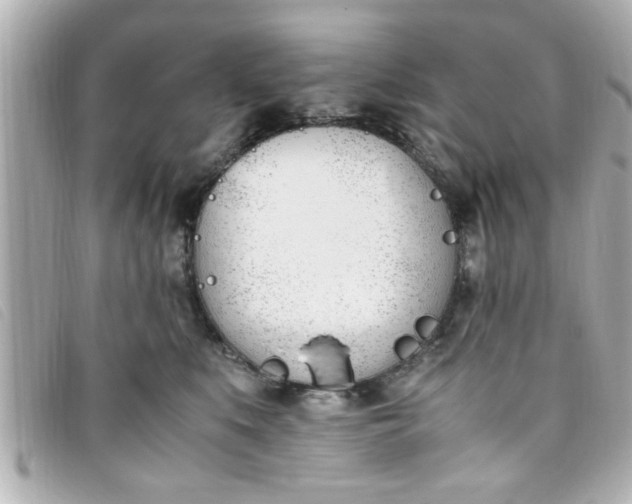 X0000093390519200710251244