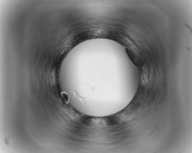 X0000093390520200710251244