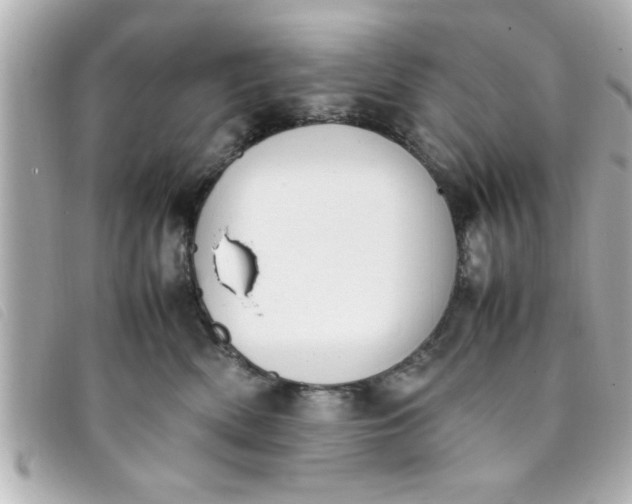 X0000093390522200710251244