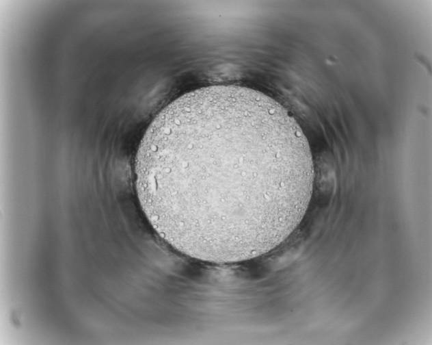 X0000093390523200710251244