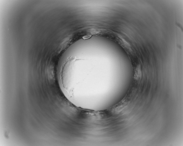 X0000093390524200710251244