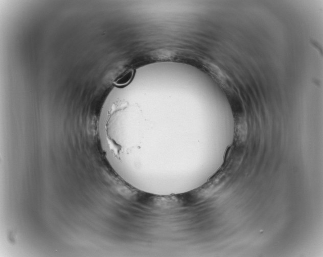 X0000093390525200710251244