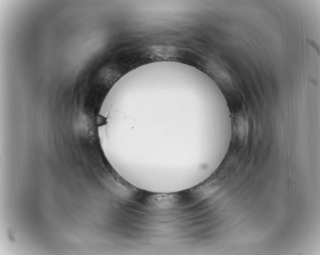 X0000093390526200710251244