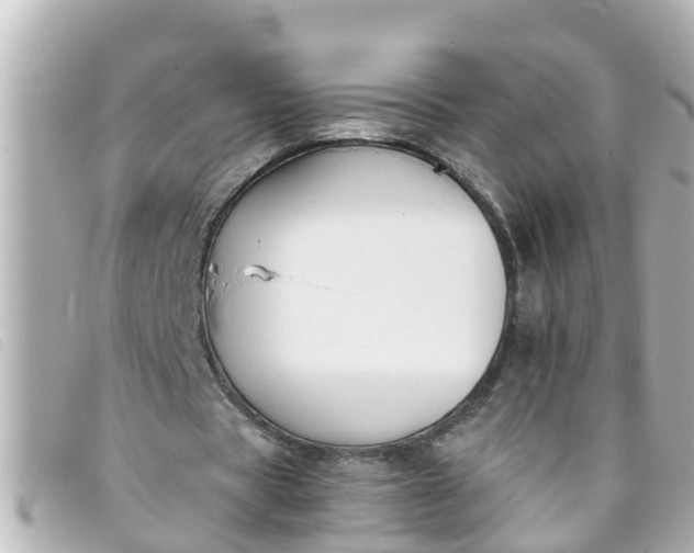 X0000093390529200710251243